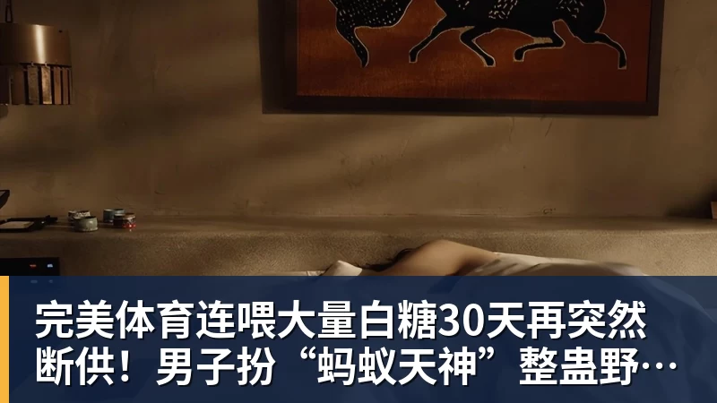 完美体育连喂大量白糖30天再突然断供!男子扮“蚂蚁天神”整蛊野生蚁群